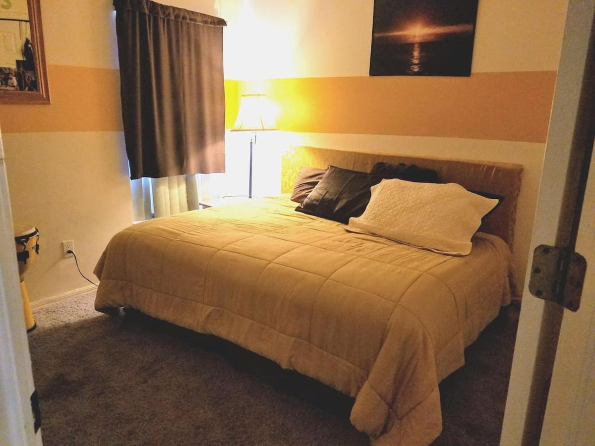Cozy And Conveniently Located Pool Home With Free Wifi タンパ エクステリア 写真